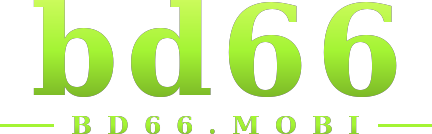 bd66 logo